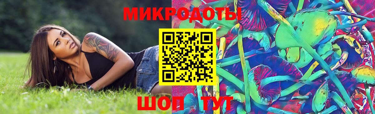 Сорочинск  Псилоцибиновые грибы Cubensis  Псилоцибиновые грибы MAGIC MUSHROOMS  Вход с VPN 